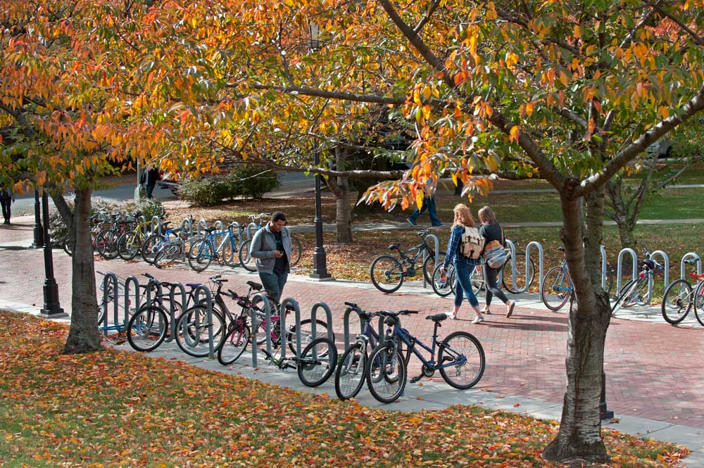 Students walking through campus in the fall